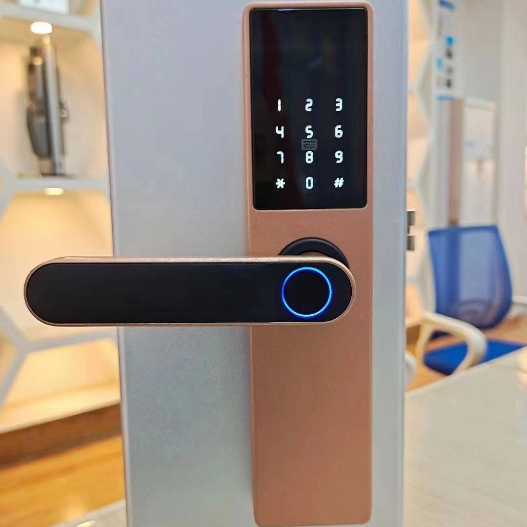 Serratura intelligente con impronta digitale | Serratura antifurto biometrica con app, password e tessera – Varie versioni