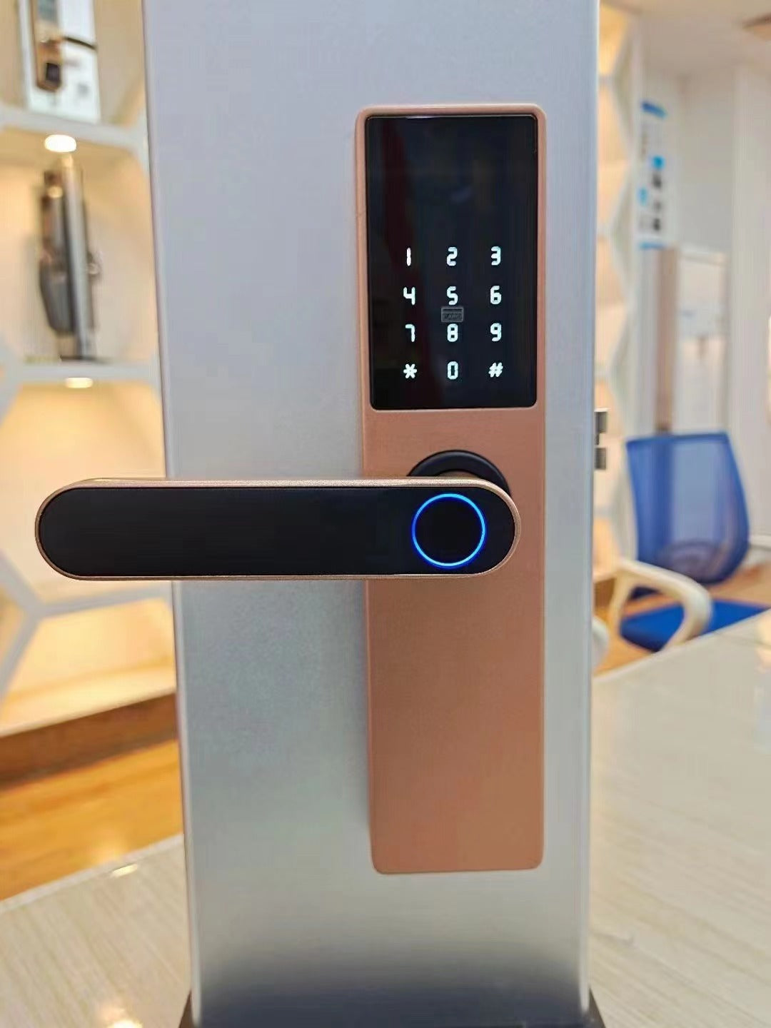Serratura intelligente con impronta digitale | Serratura antifurto biometrica con app, password e tessera – Varie versioni